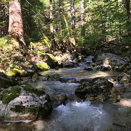 Cozy Private In The Heart Of Triglav National Park *