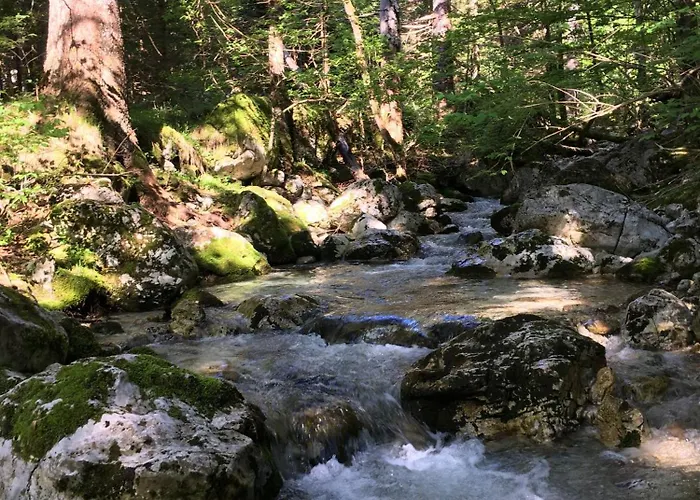 Cozy Private In The Heart Of Triglav National Park *